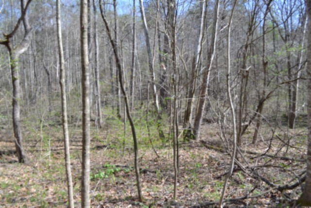 0 Boles Road Hilham, TN 38568 - Photo 53 of 69 a view of under construction area