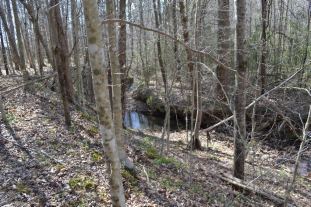 0 Boles Road Hilham, TN 38568 - Photo 56 of 69 a backyard of a house with lots of plants and large trees