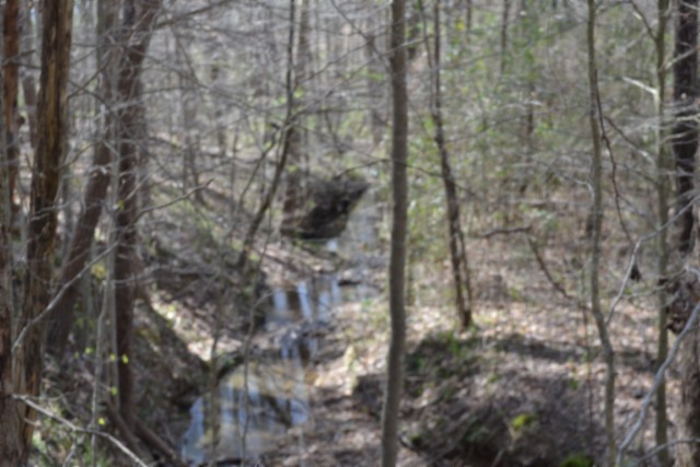 0 Boles Road Hilham, TN 38568 - Photo 60 of 69