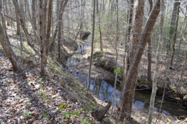 0 Boles Road Hilham, TN 38568 - Photo 62 of 69 a backyard of a house with lots of plants and tree