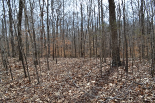 0 Boles Road Hilham, TN 38568 - Photo 7 of 48 a view of wooden fence with trees