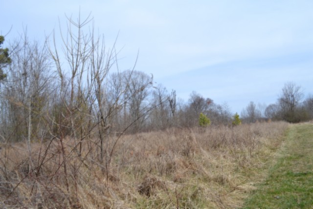 0 Boles Road Hilham, TN 38568 - Photo 8 of 69 a view of a dry field