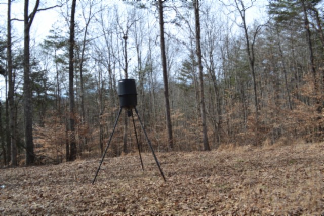 0 Boles Road Hilham, TN 38568 - Photo 9 of 48 a backyard of a house with lots of green space
