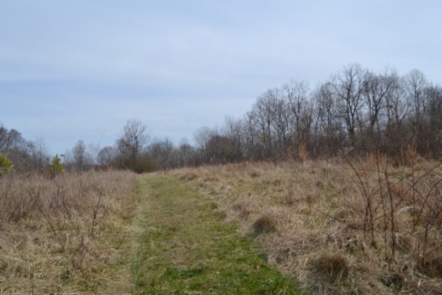 0 Boles Road Hilham, TN 38568 - Photo 9 of 69 a view of a dry yard with trees