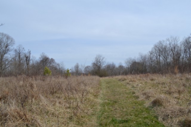 0 Boles Road Hilham, TN 38568 - Photo 10 of 69 a view of a field