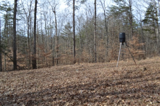 0 Boles Road Hilham, TN 38568 - Photo 10 of 48 a backyard of a house with lots of green space