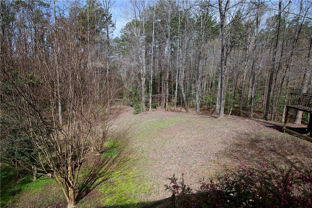 805 Watermelon Way Tamassee, SC 29686 - Photo 29 of 30 Gallery Image 29