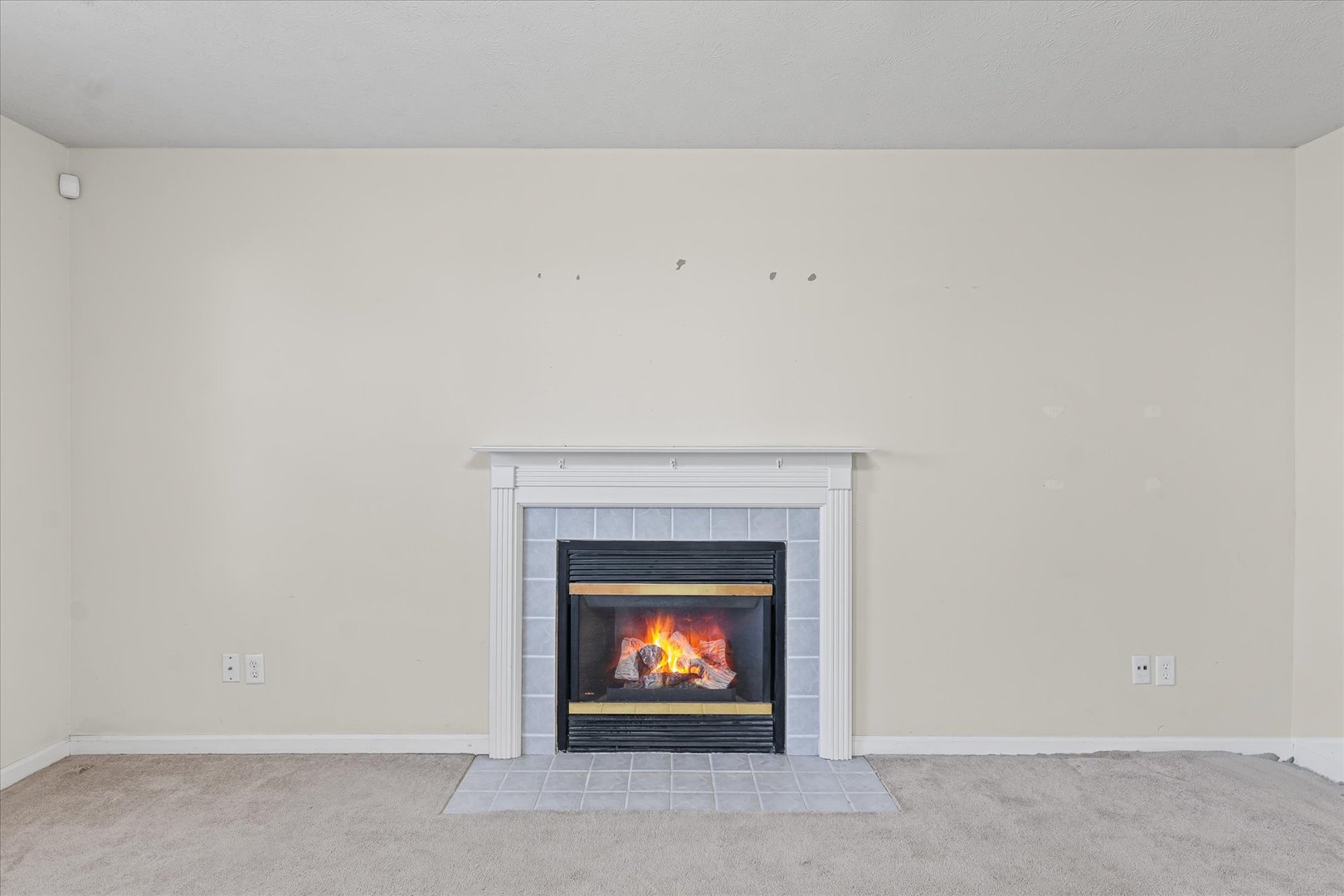 1418 Ogelthorpe Avenue Urbana, IL 61802 - Photo 9 of 36 a living room with a fireplace
