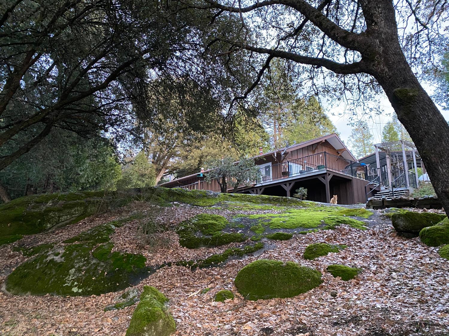2341 Harris Road Mariposa, CA 95338 - Photo 2 of 50 Gallery Image 2
