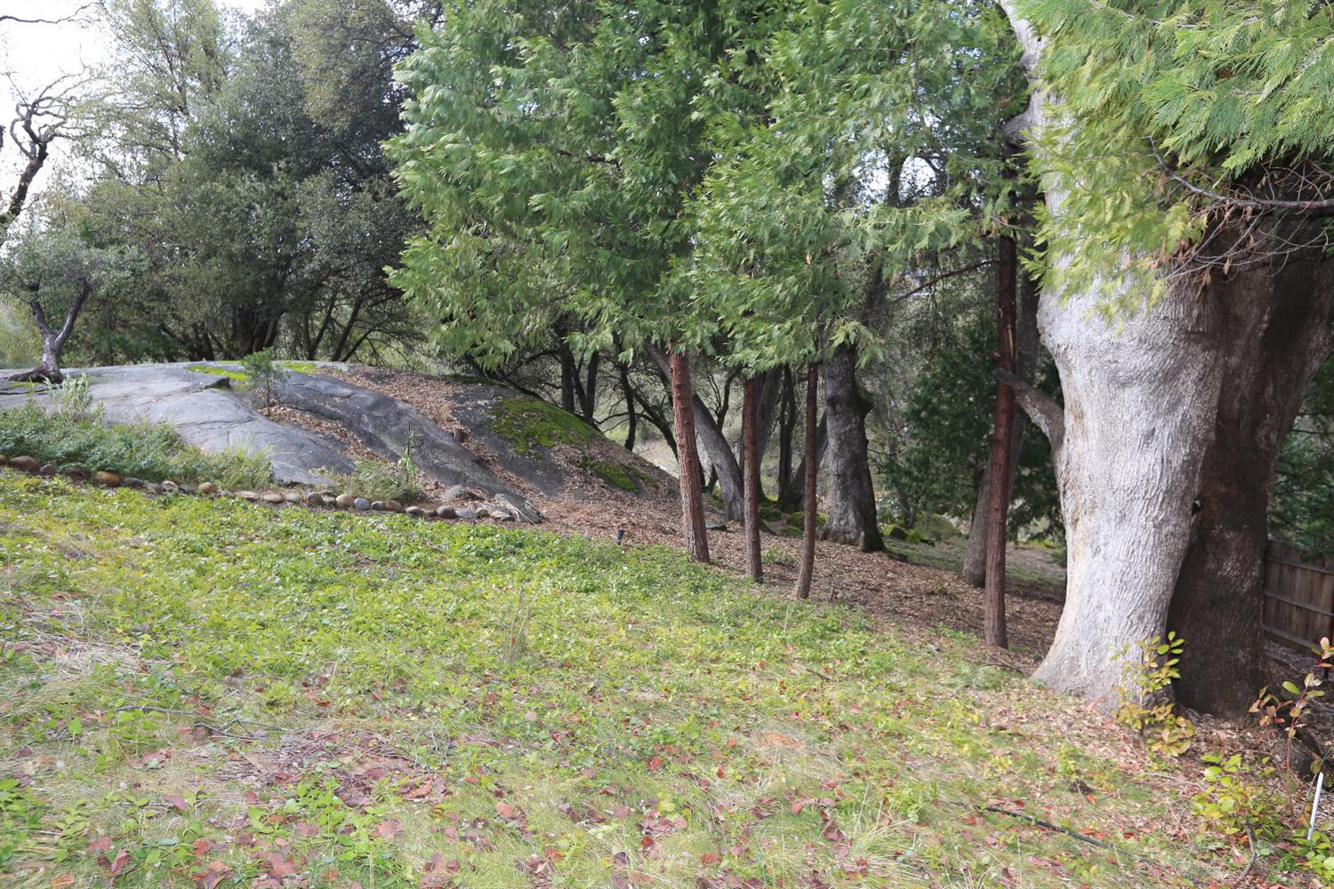 2341 Harris Road Mariposa, CA 95338 - Photo 16 of 50 Gallery Image 16