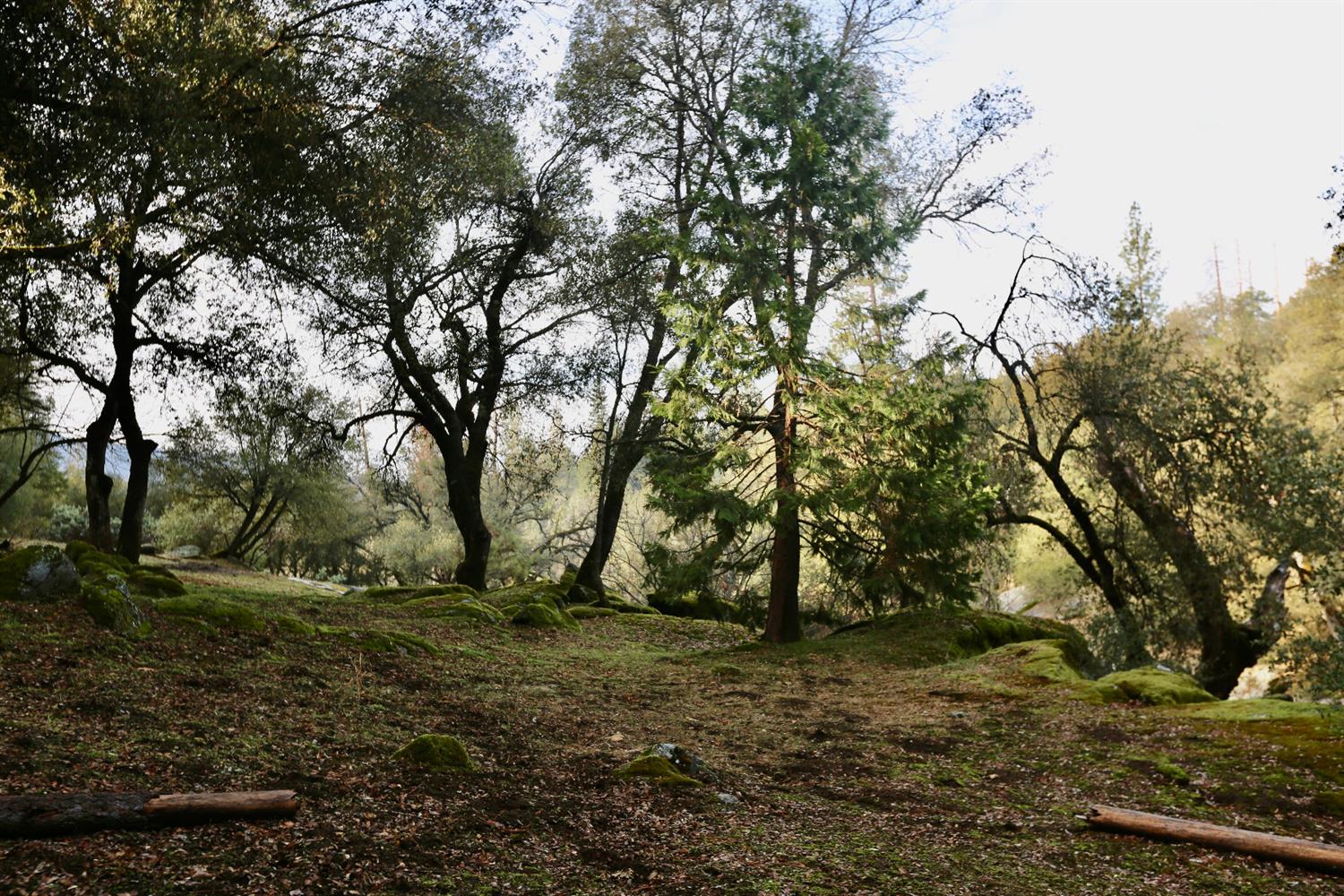 2341 Harris Road Mariposa, CA 95338 - Photo 50 of 50 Gallery Image 50