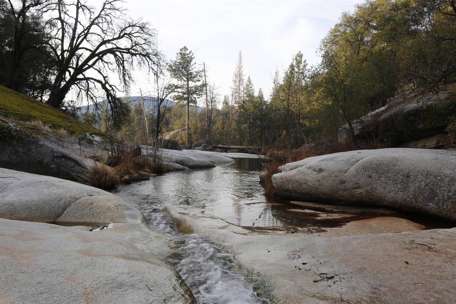 2341 Harris Road Mariposa, CA 95338 - Photo 9 of 50 Gallery Image 9