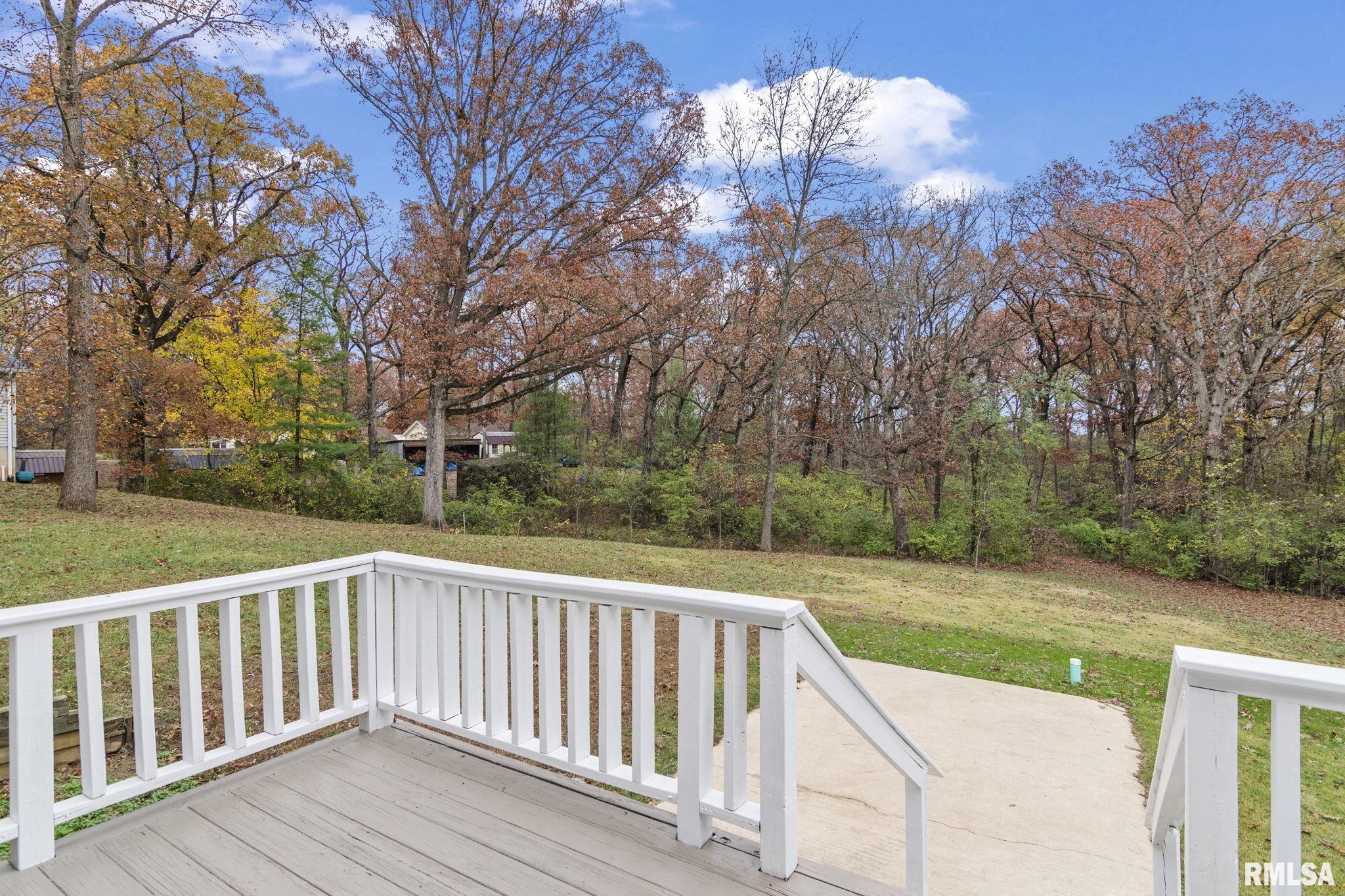 822 North Oaklane Road Springfield, IL 62707 - Photo 36 of 58