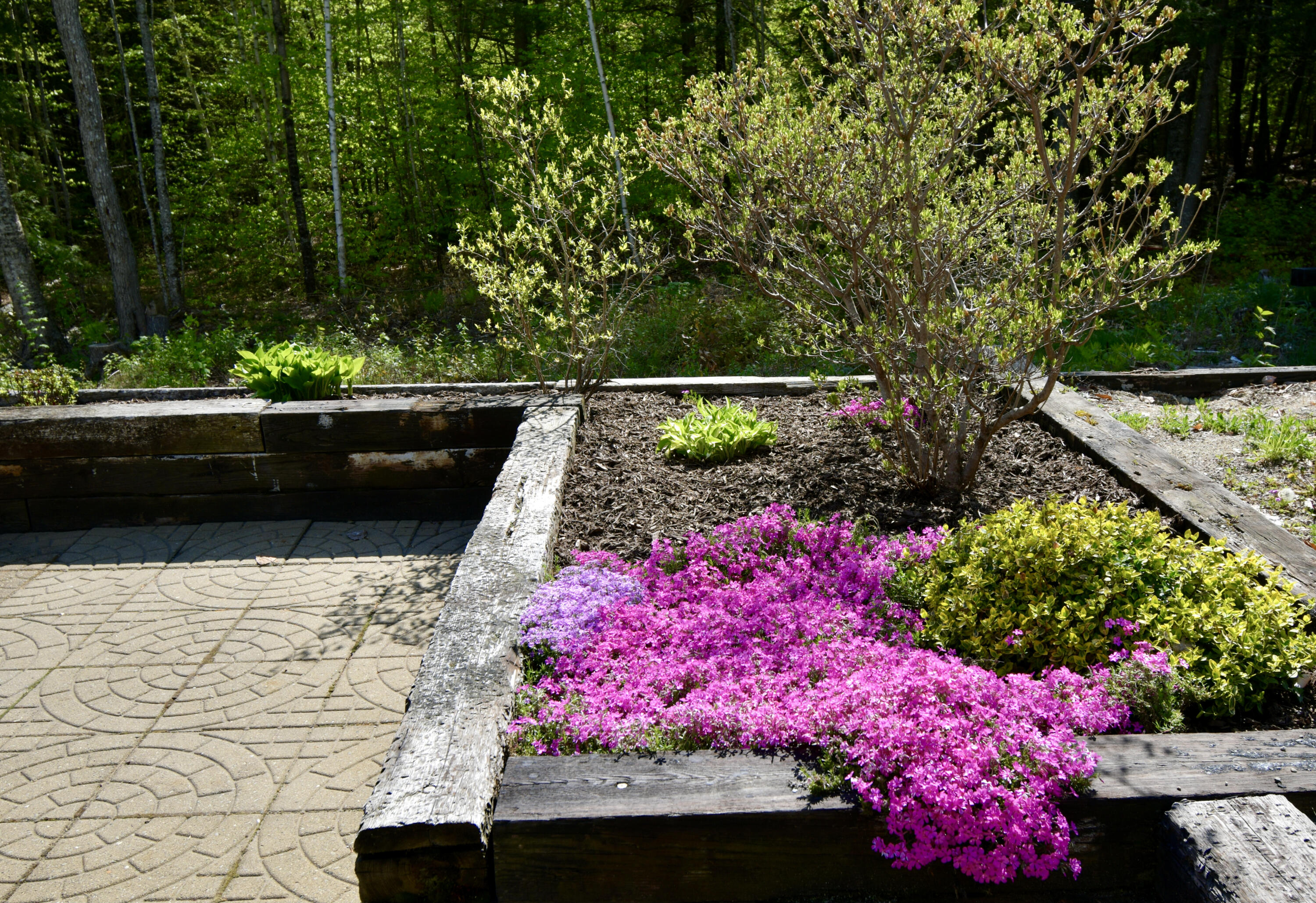102 Whitmore Road Ellsworth, ME 04605 - Photo 19 of 100 5D1B0830-58D0-4B53-A6AC-772E2994884F_1_2
