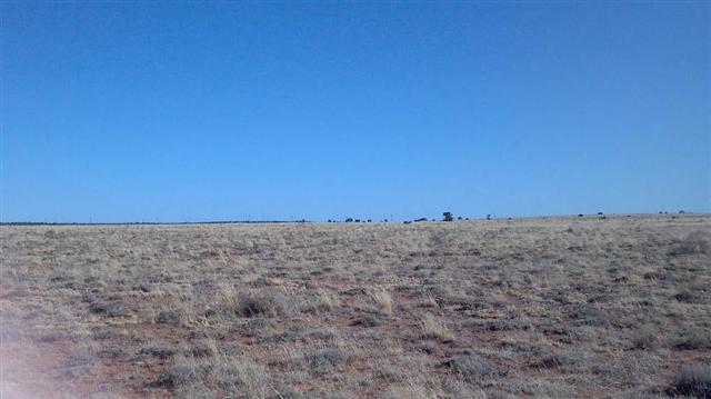 Lot 430 Chevelon Canyon Ranch Heber, AZ 85928 - Photo 2 of 3
