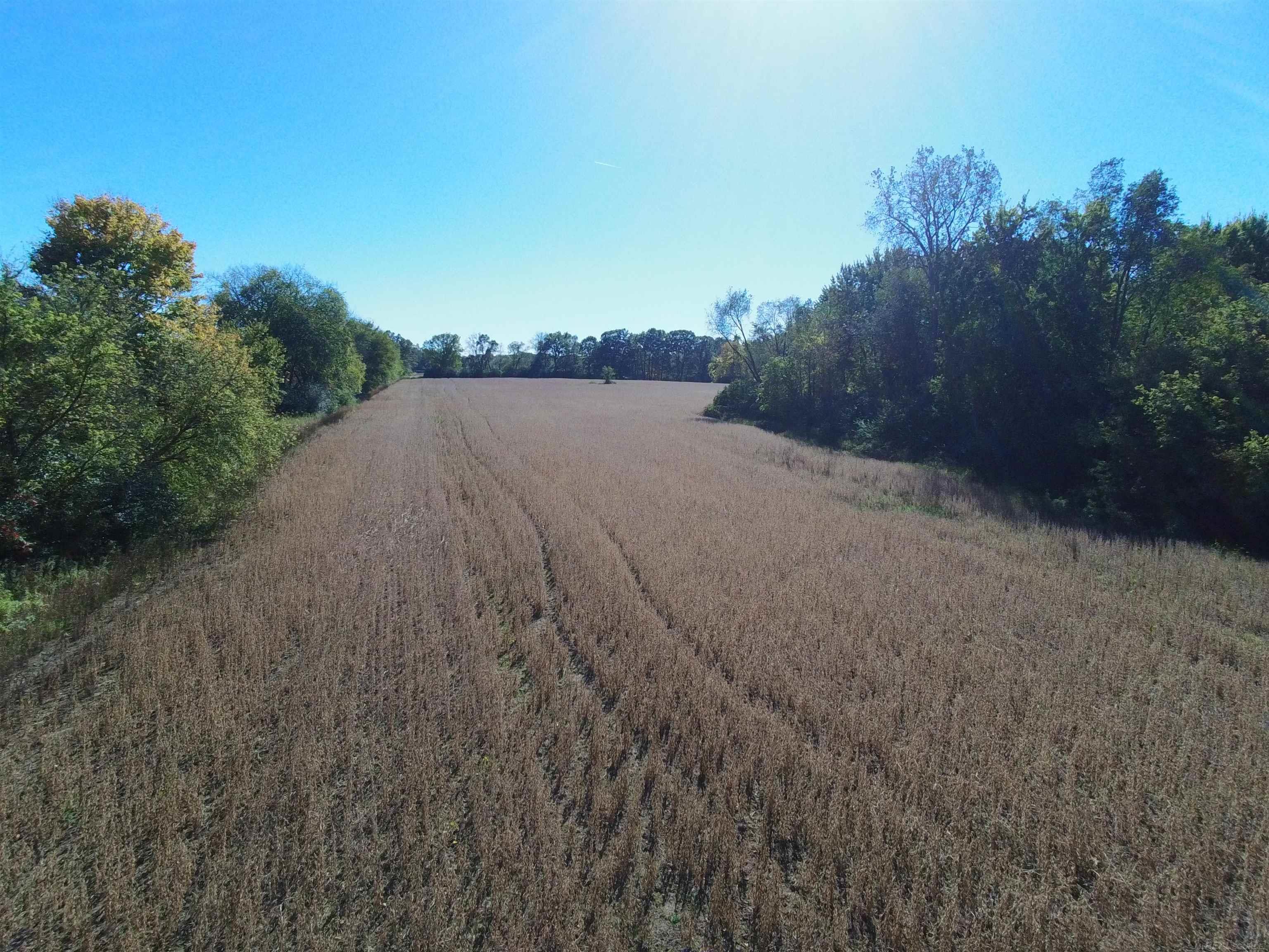 73213 Coon Creek Road Armada, MI 48005 - Photo 9 of 11