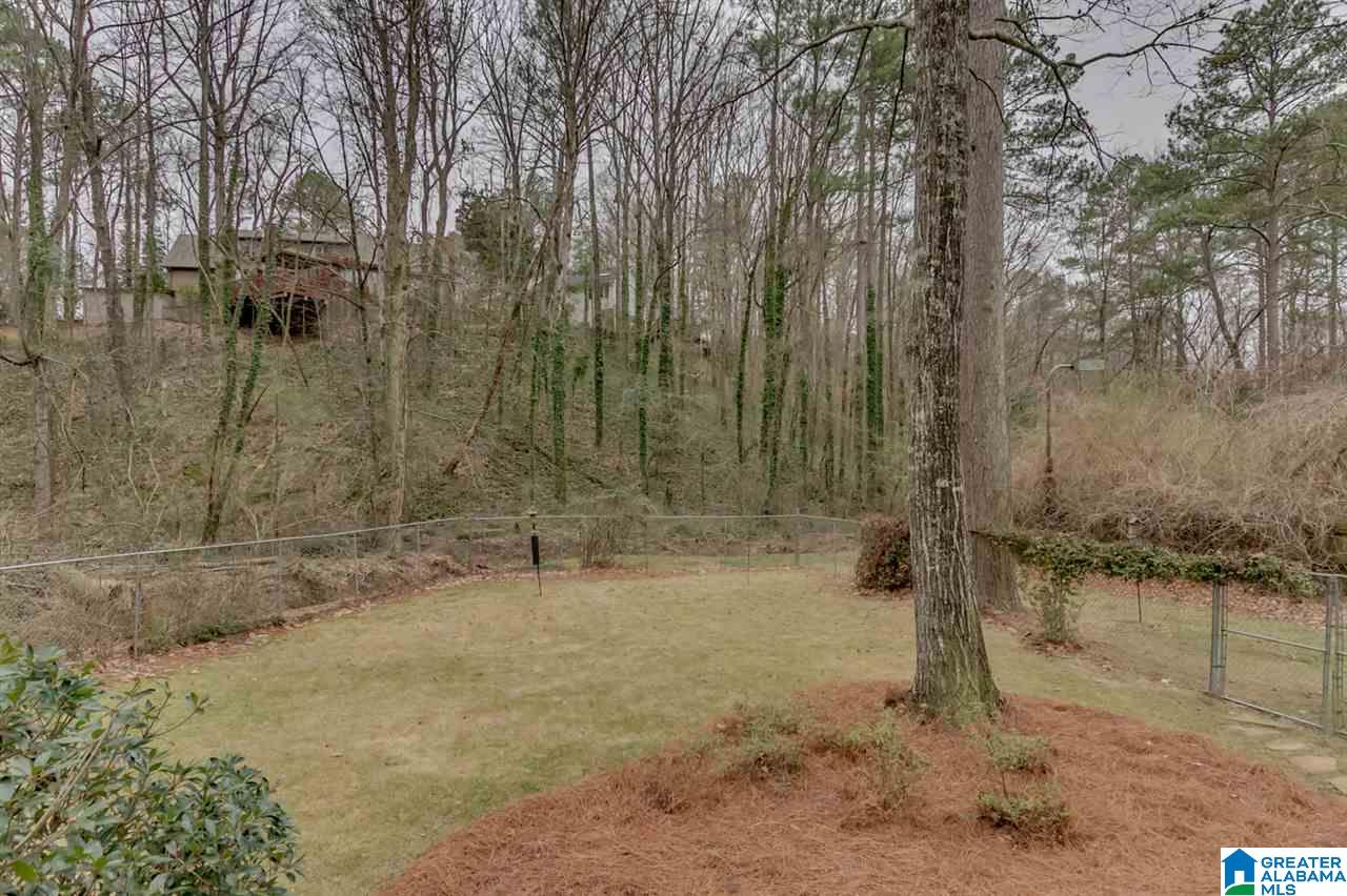 4620 Pine Mountain Road Mountain Brook, AL 35213 - Photo 49 of 50