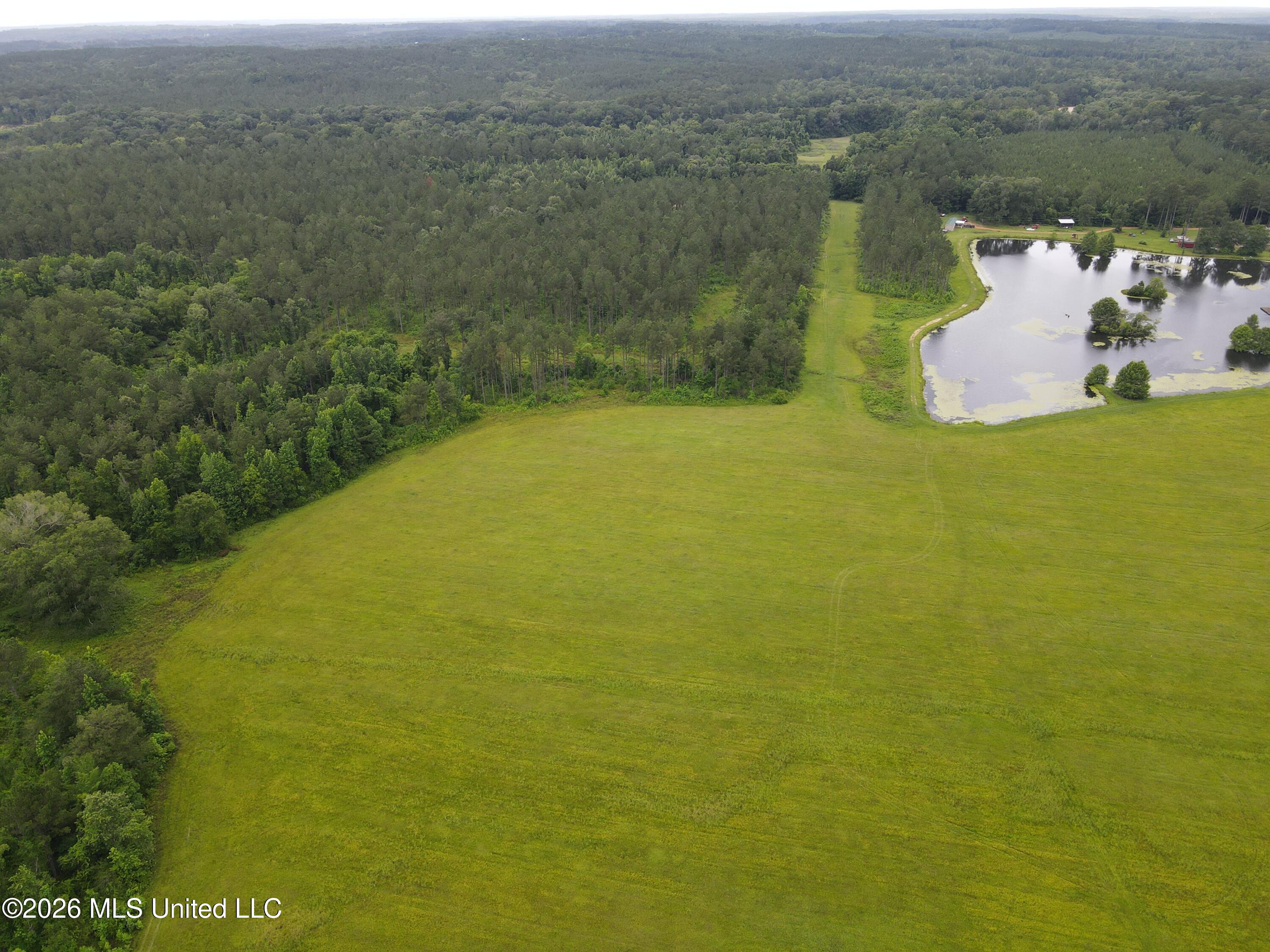 244 Foster Road Sontag, MS 39665 - Photo 85 of 105 35793
