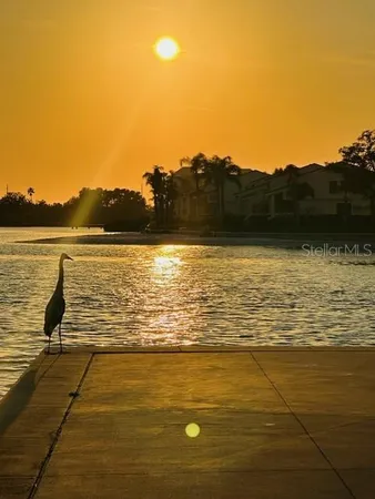 $3,500 | 5200 Brittany Drive South, Unit 204, St. Petersburg, FL 33715