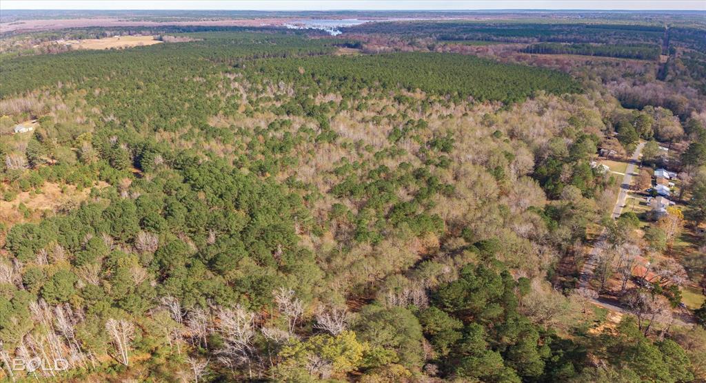 0 Camelia Street Vivian, LA 71082 - Photo 2 of 13 View of property location with a forest