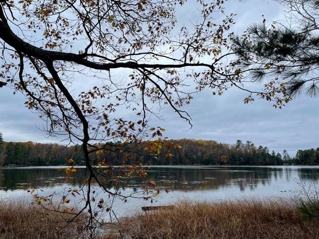 1232 Blue Island Road Woodruff, WI 54568 - Photo 4 of 23 Gallery Image 4