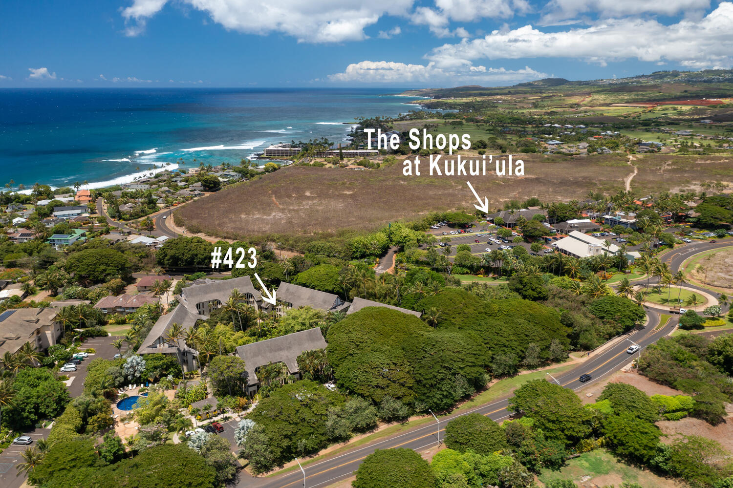 2721 Poipu Road, Unit 423 Koloa, HI 96756 - Photo 25 of 30