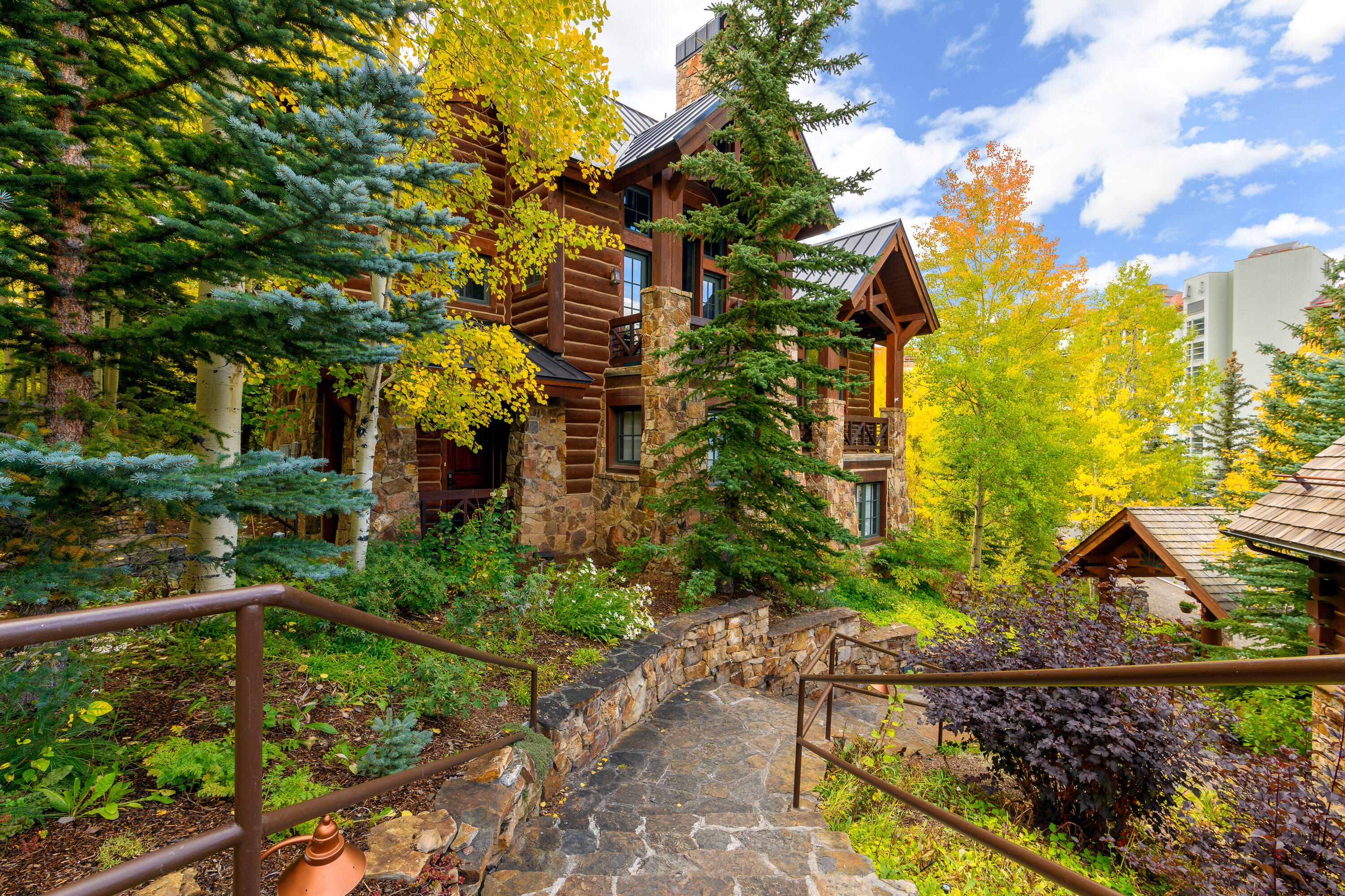 101 Sunny Ridge Place, Unit 101 Mountain Village, CO 81435 - Photo 3 of 30 a view of a house with a tree