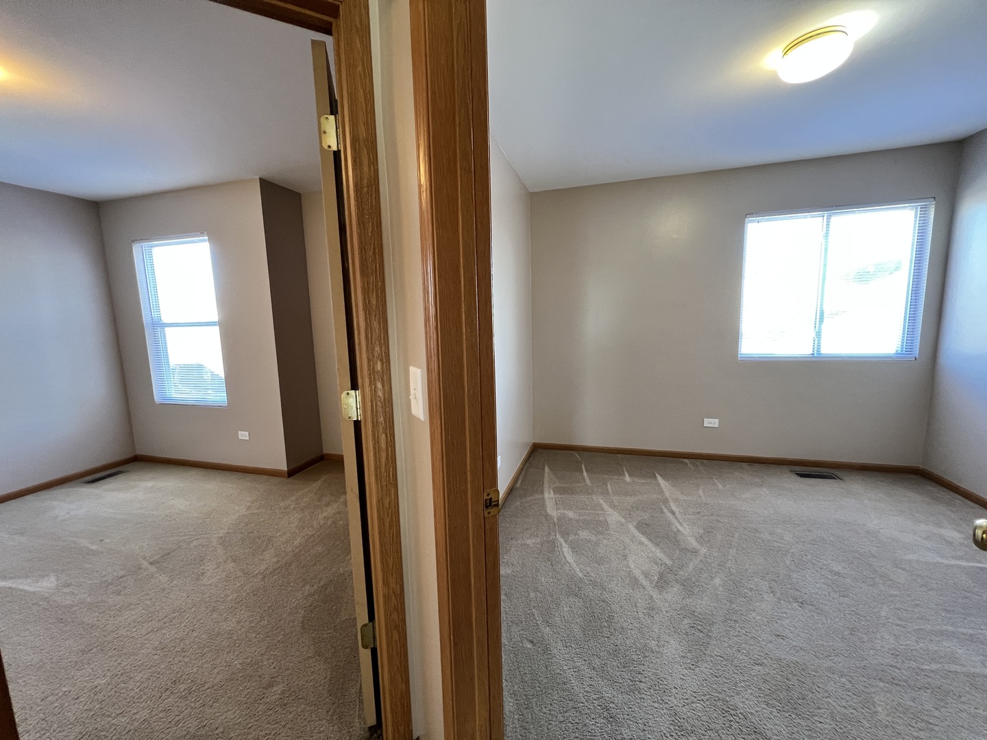 142 Mountain Laurel Court Romeoville, IL 60446 - Photo 14 of 27