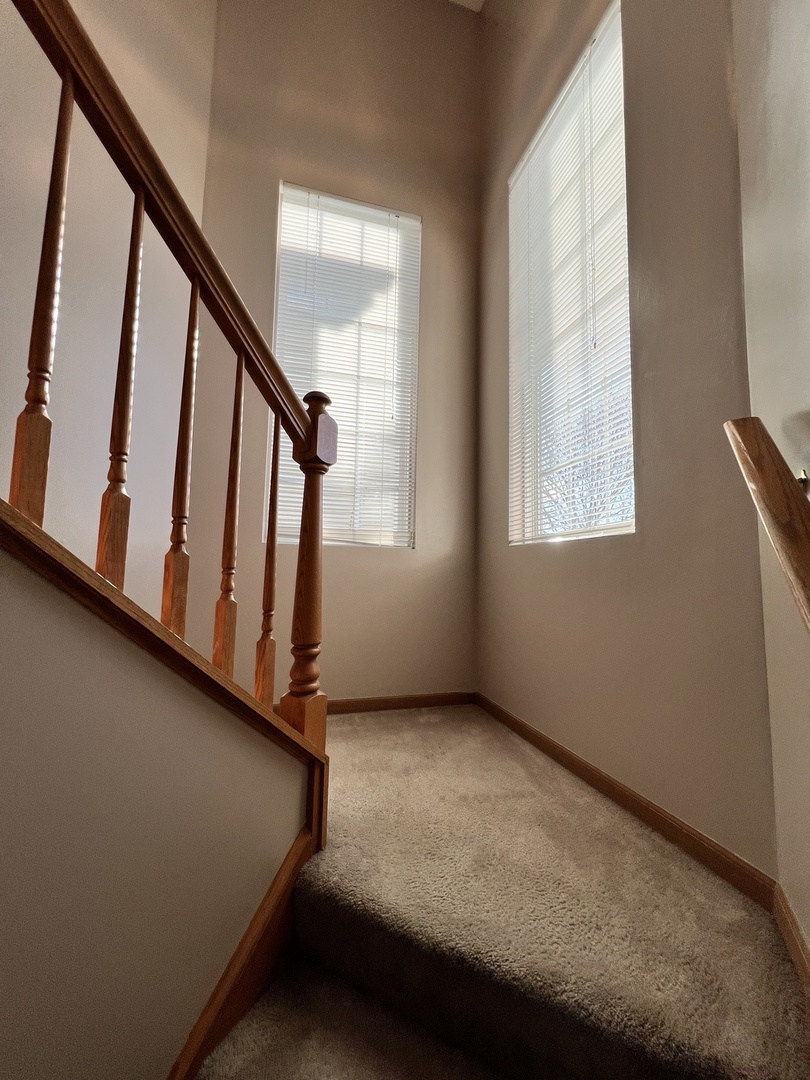 142 Mountain Laurel Court Romeoville, IL 60446 - Photo 8 of 27