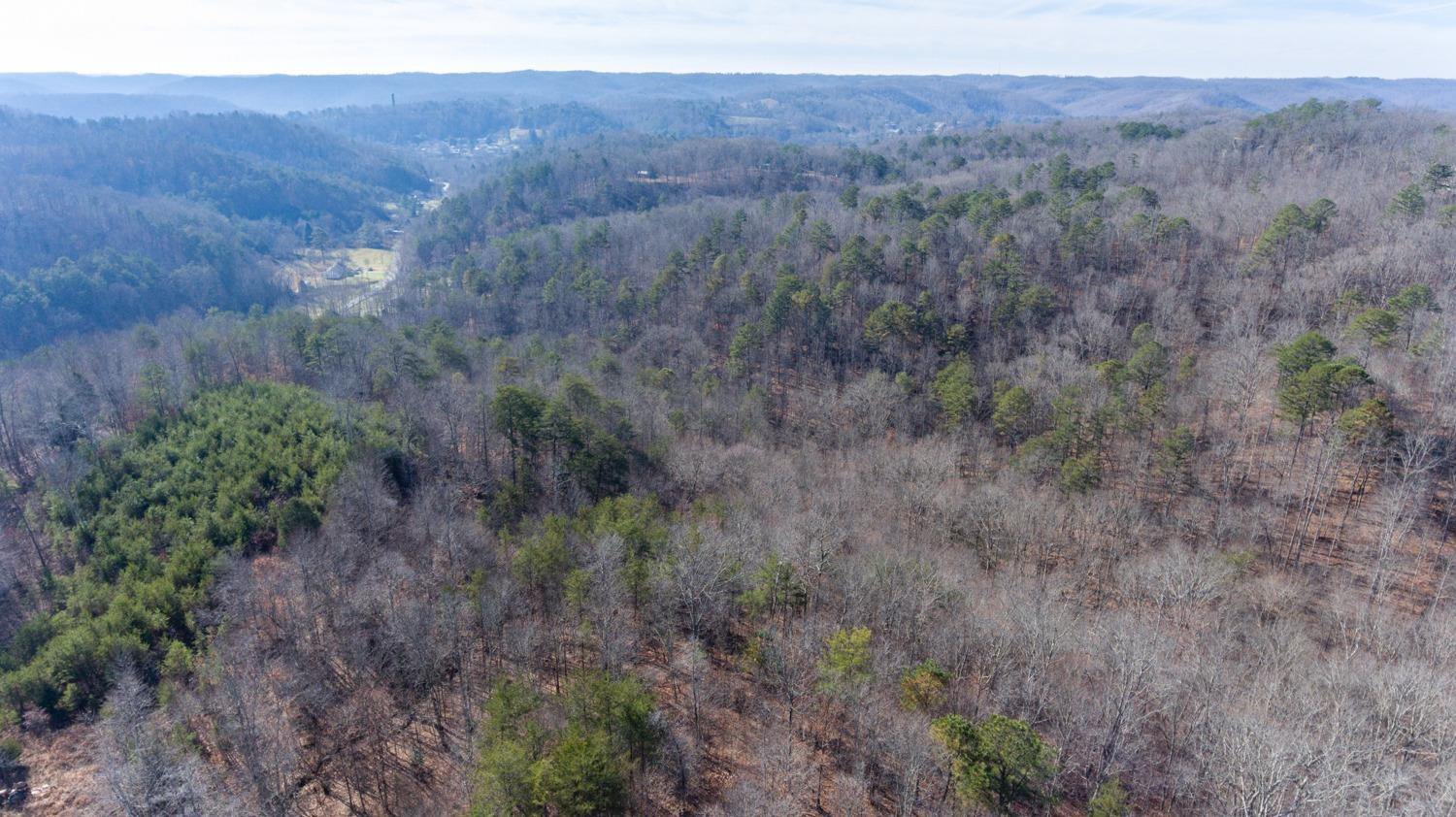 1077 Red Hill Road Livingston, KY 40445 - Photo 16 of 28 Listing Photo