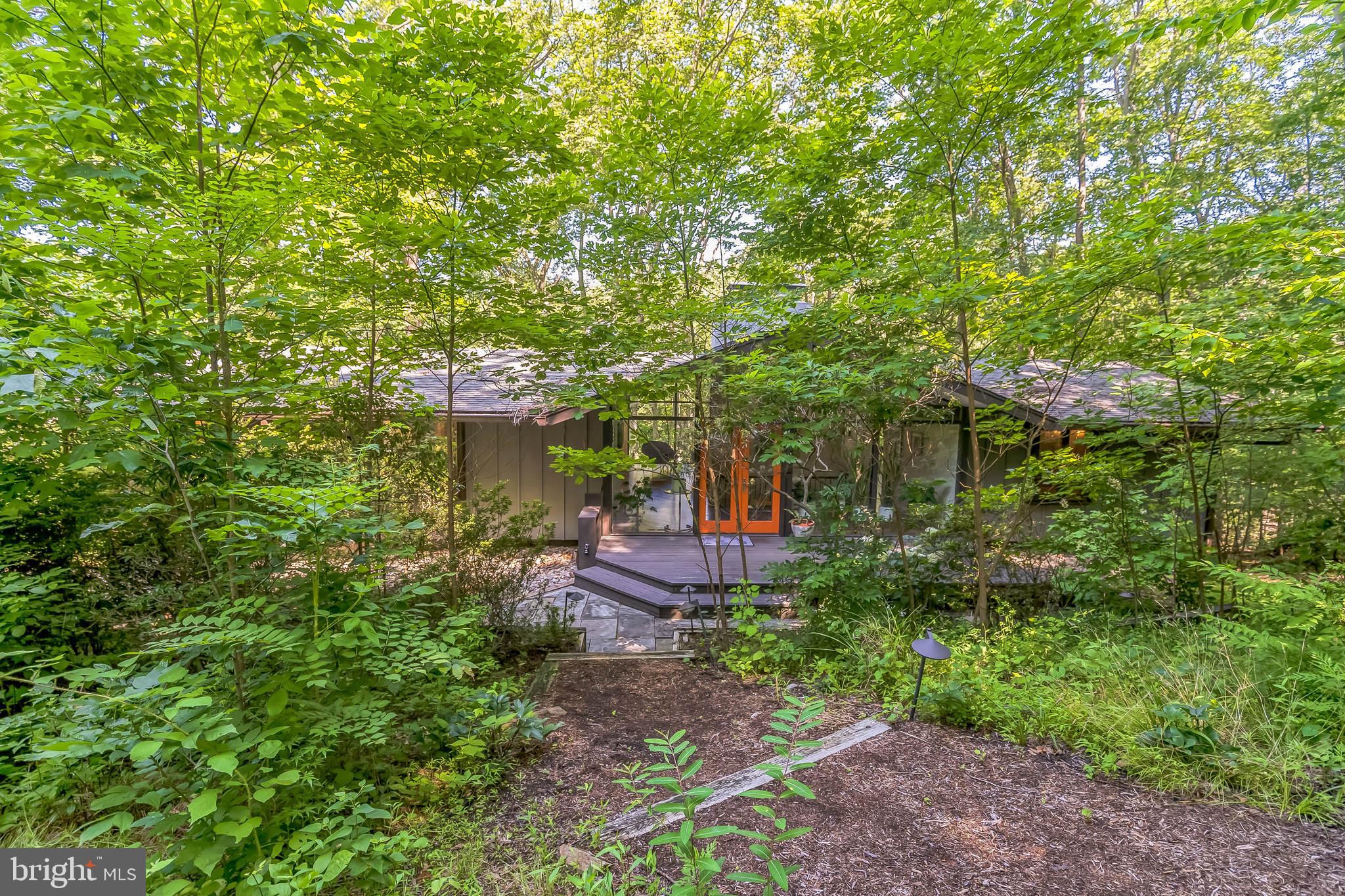 27 Forest View Road Rose Valley, PA 19086 - Photo 12 of 39 a view of a garden with plants and large trees
