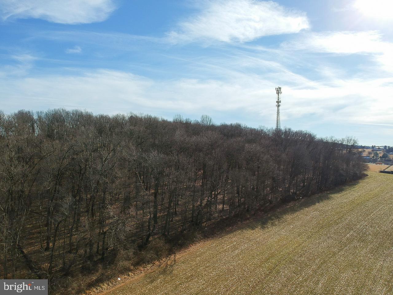 Traceys Mill Manchester, MD 21102 - Photo 12 of 15