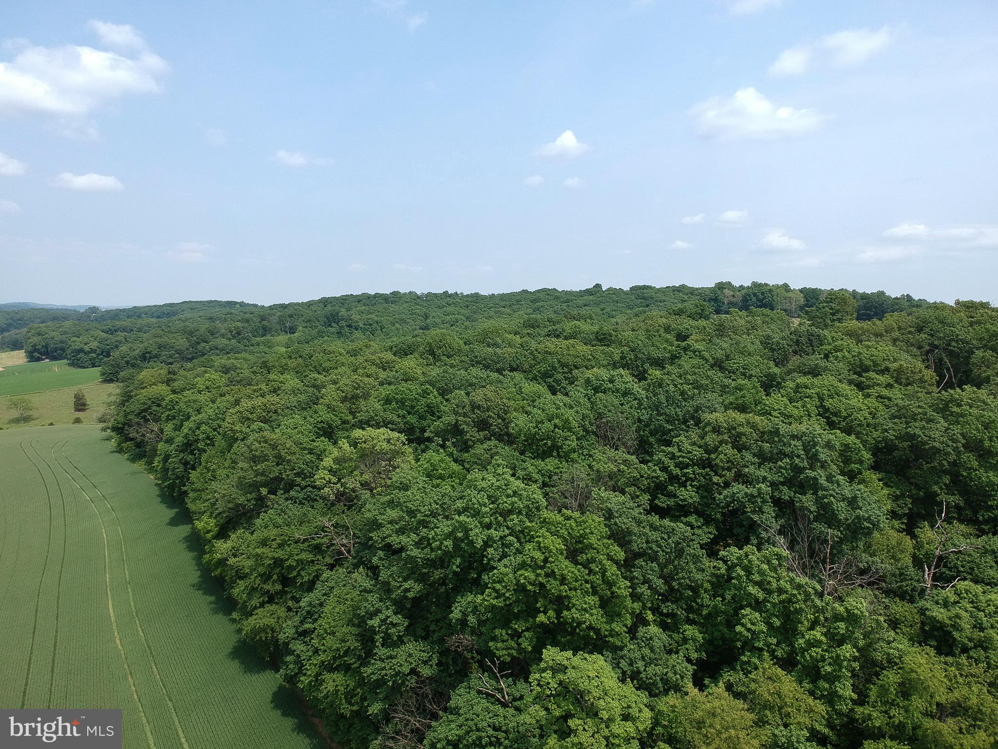 Traceys Mill Manchester, MD 21102 - Photo 14 of 15