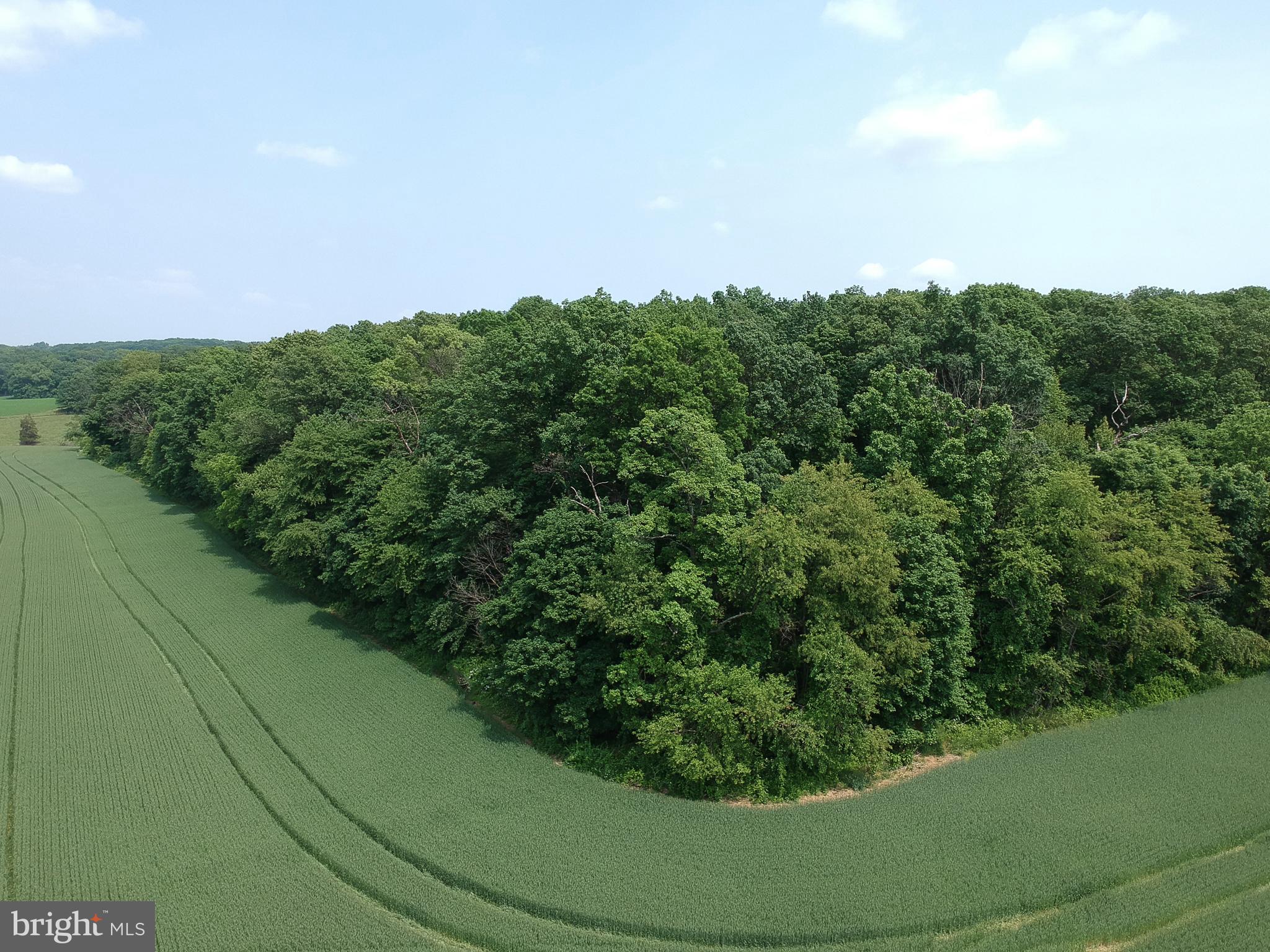 Traceys Mill Manchester, MD 21102 - Photo 2 of 15 Very private!