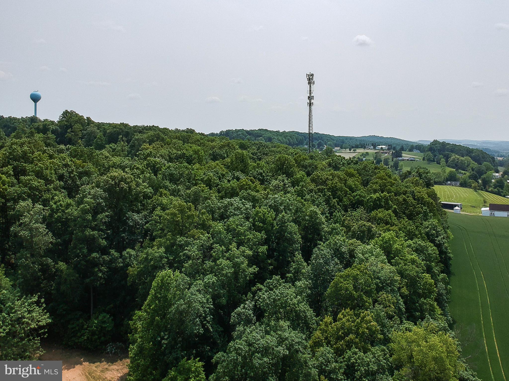 Traceys Mill Manchester, MD 21102 - Photo 3 of 15