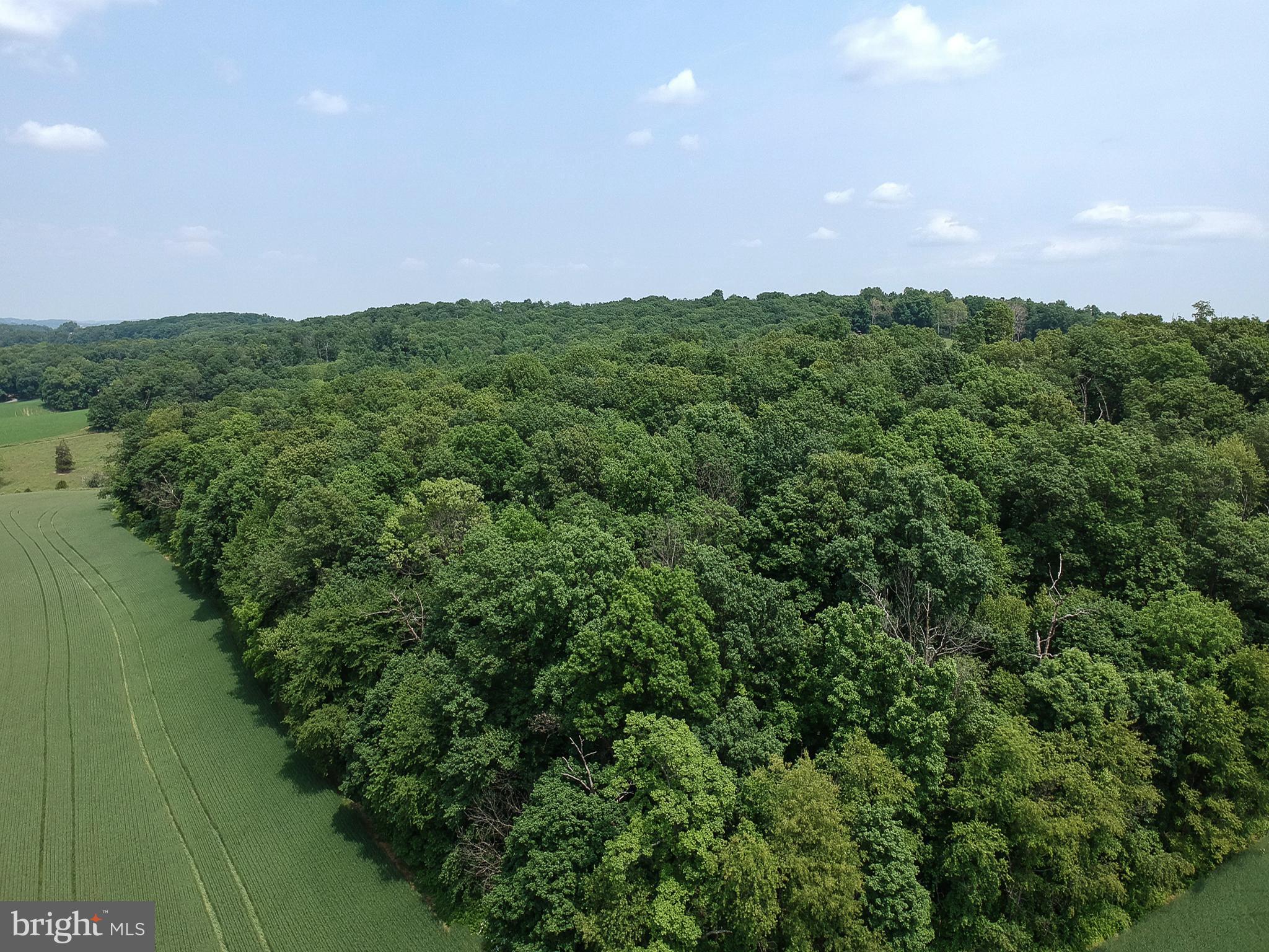 Traceys Mill Manchester, MD 21102 - Photo 4 of 15