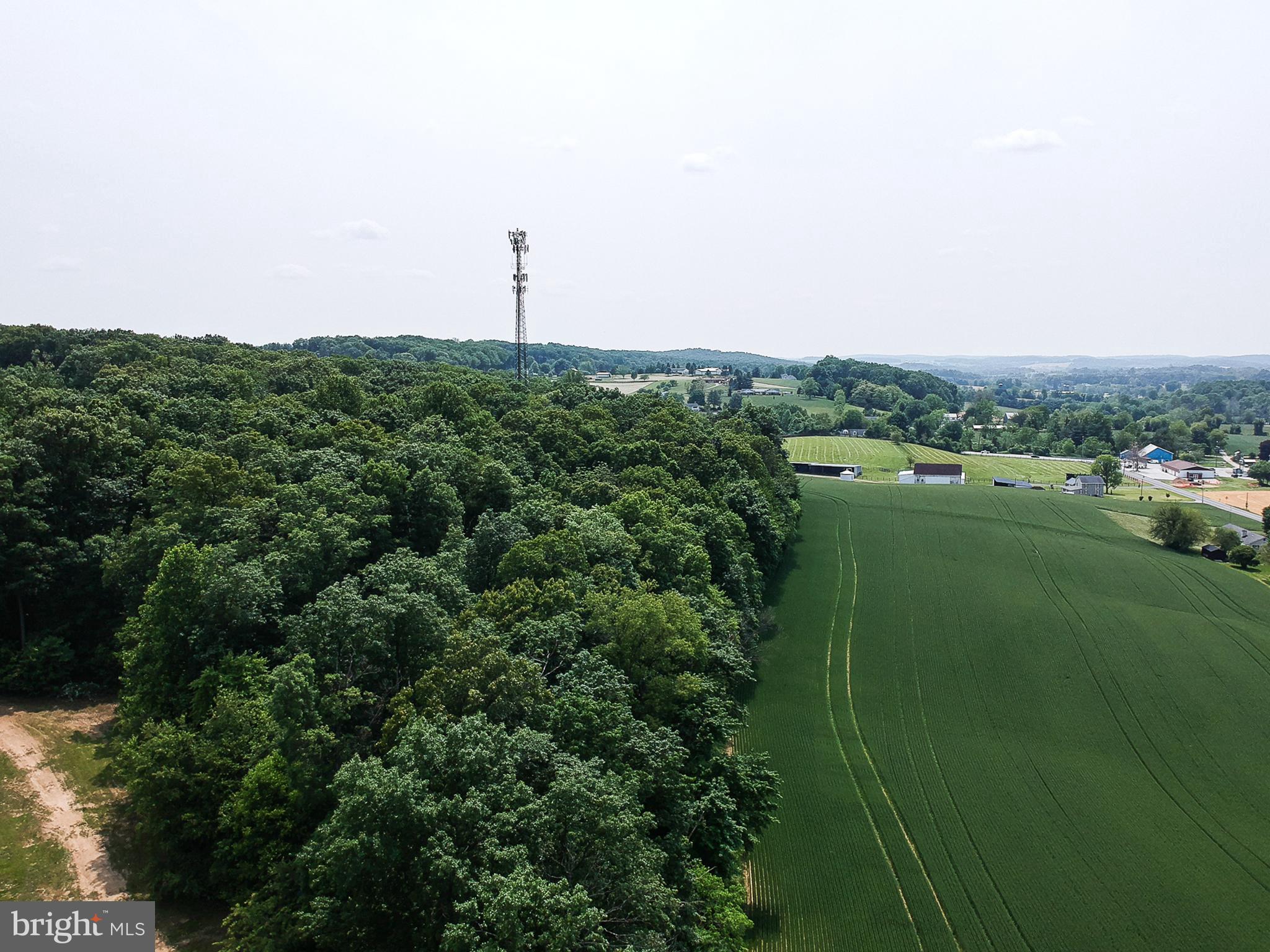 Traceys Mill Manchester, MD 21102 - Photo 5 of 15