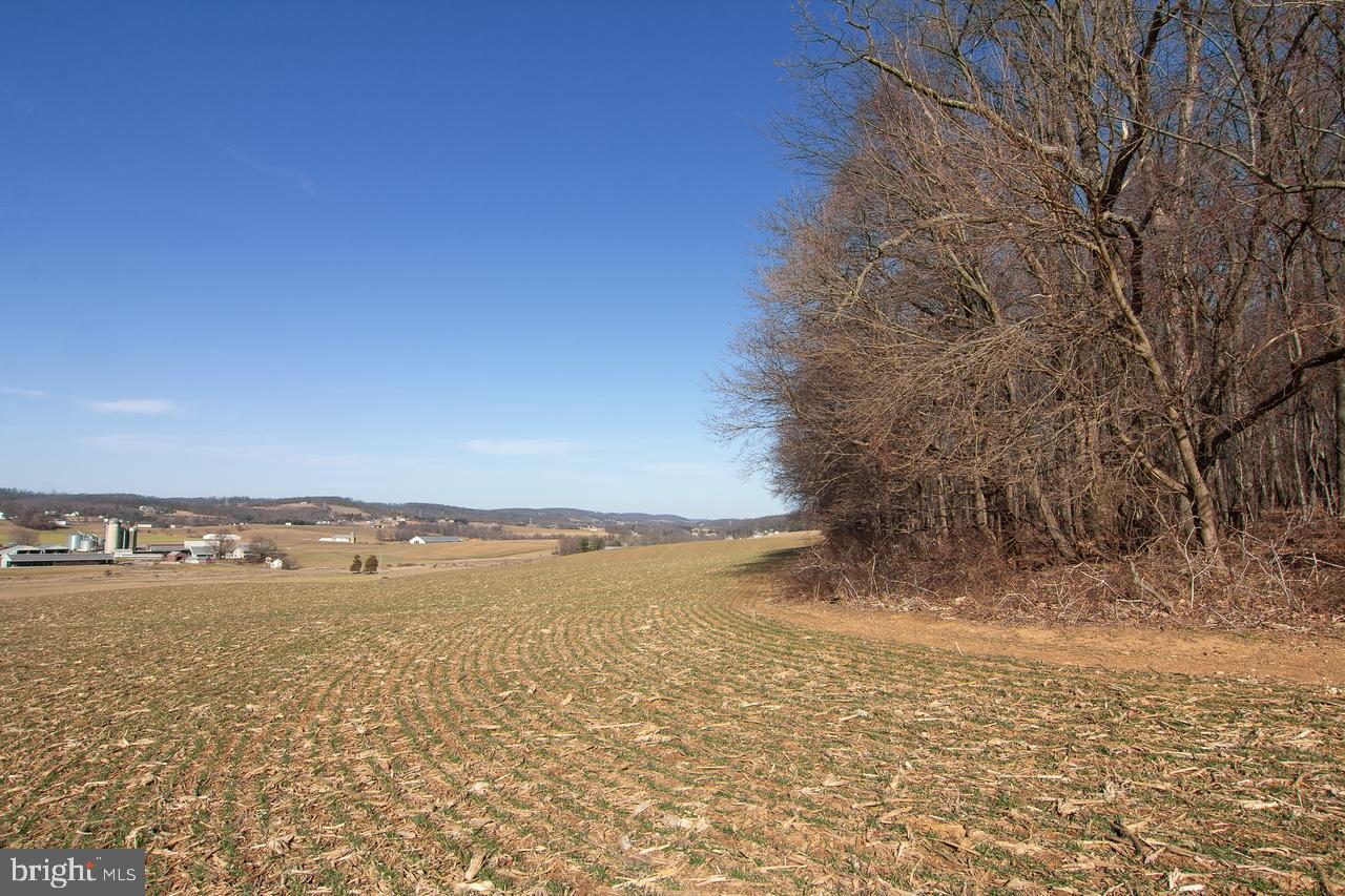 Traceys Mill Manchester, MD 21102 - Photo 6 of 15