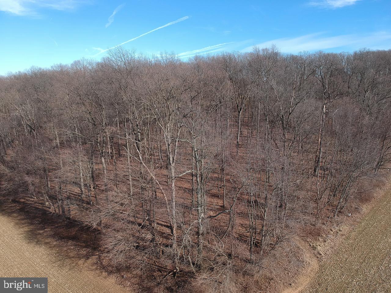 Traceys Mill Manchester, MD 21102 - Photo 7 of 15