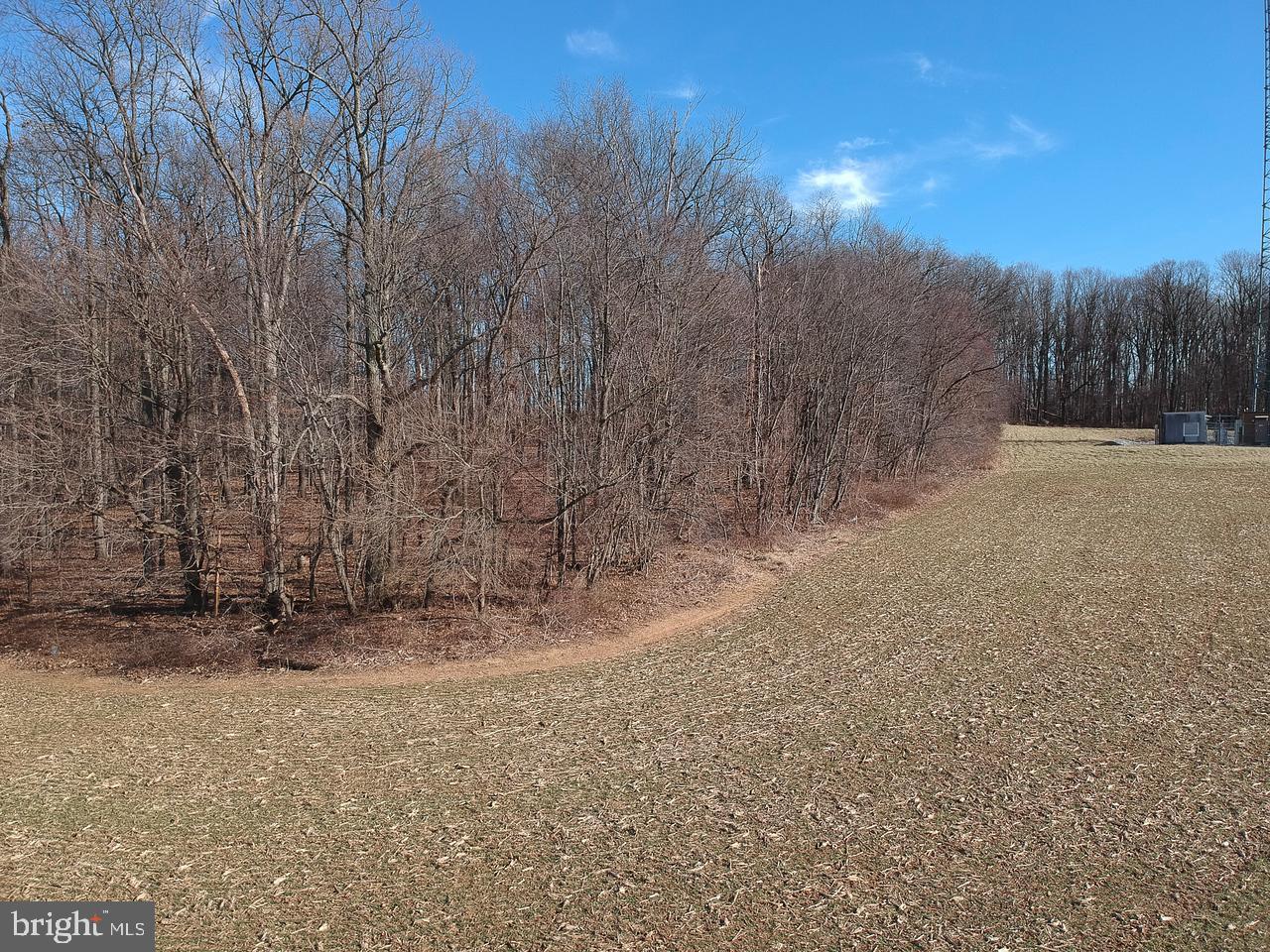 Traceys Mill Manchester, MD 21102 - Photo 8 of 15