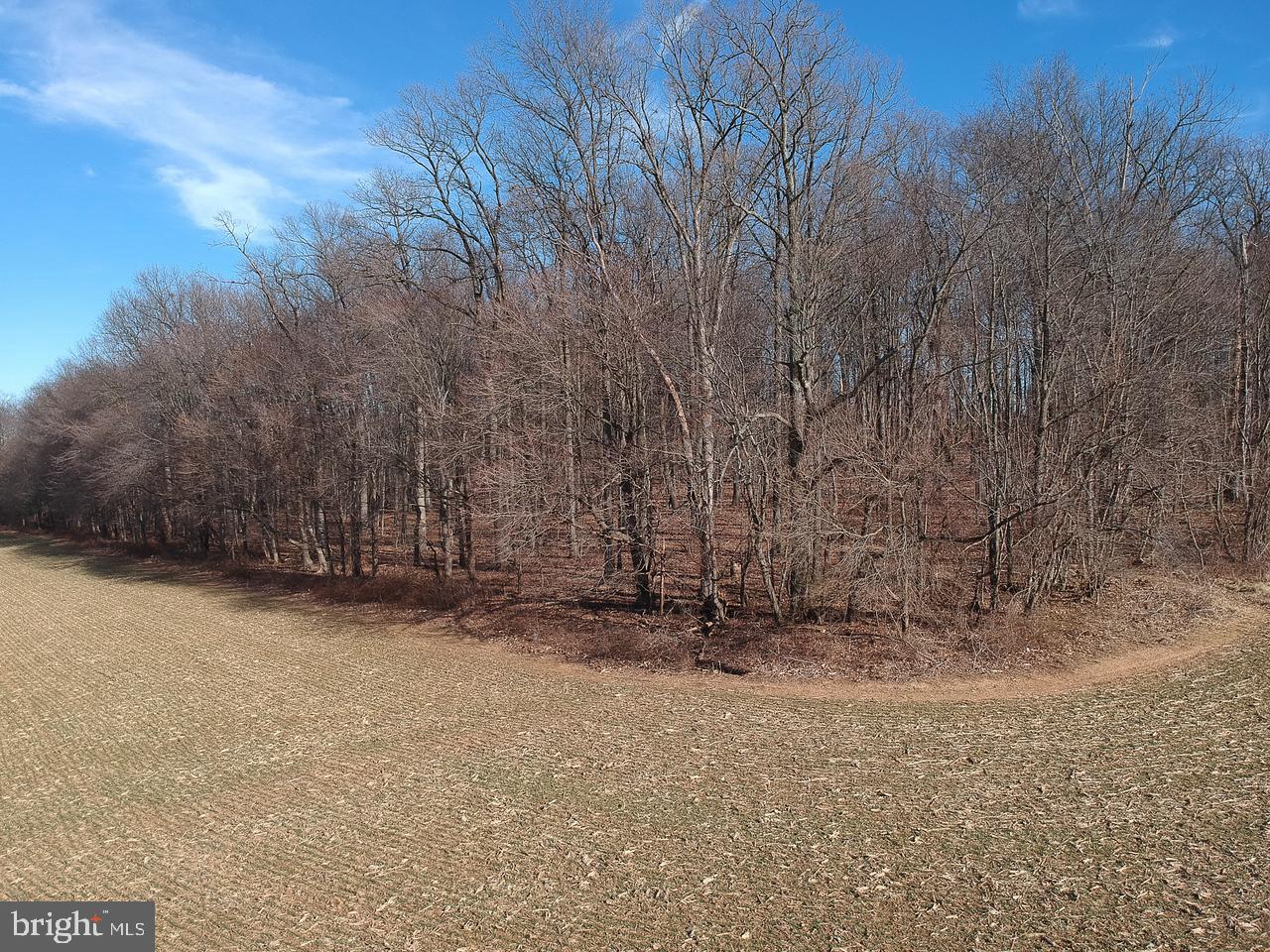 Traceys Mill Manchester, MD 21102 - Photo 9 of 15