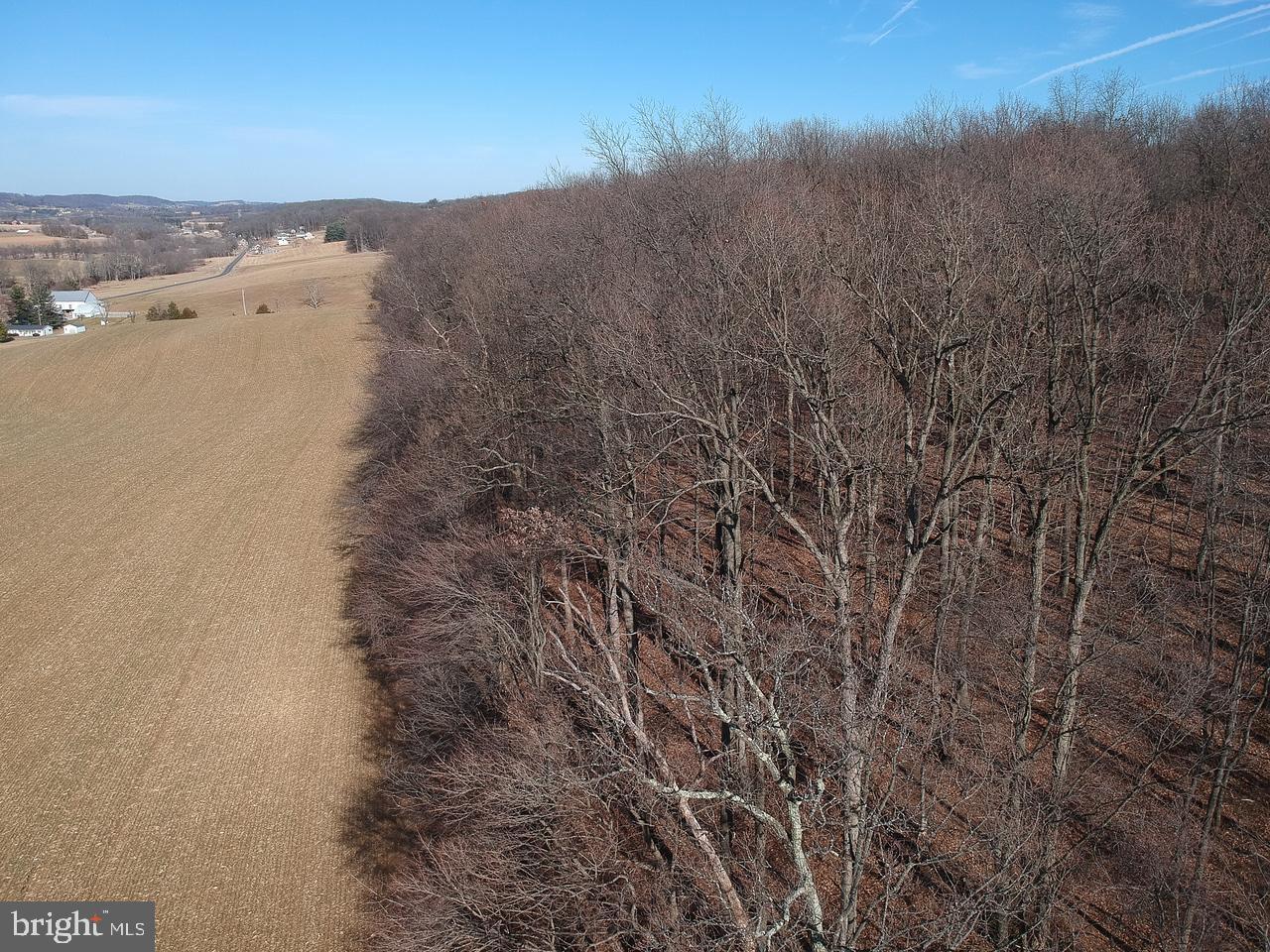 Traceys Mill Manchester, MD 21102 - Photo 10 of 15