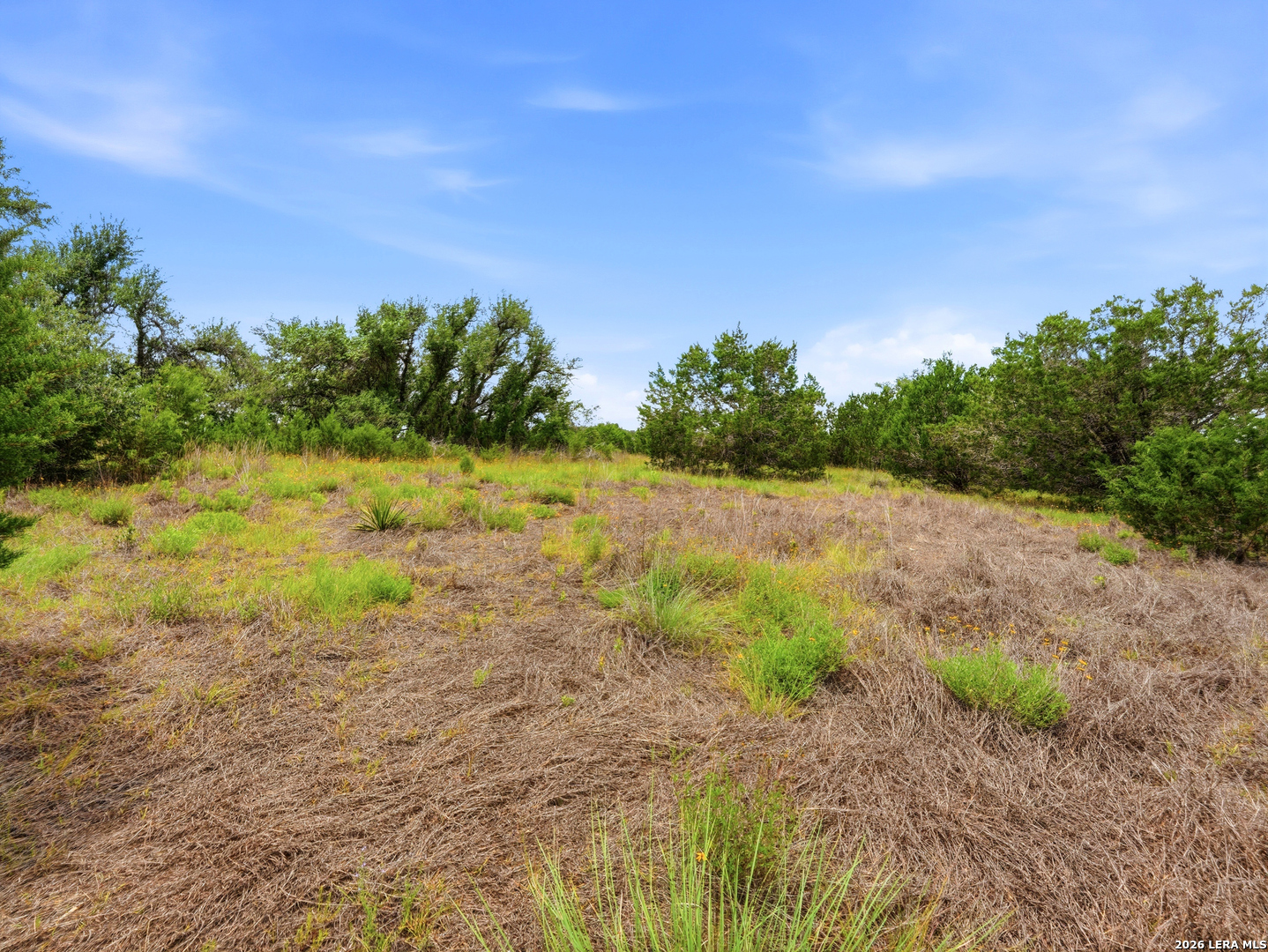 1030 Sunrise Place Spring Branch, TX 78070 - Photo 11 of 30