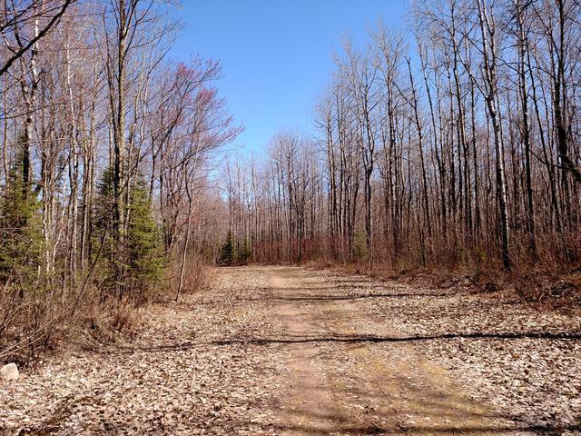 W6614 Loop Rd Road Phillips, WI 54555 - Photo 14 of 19 Gallery Image 14