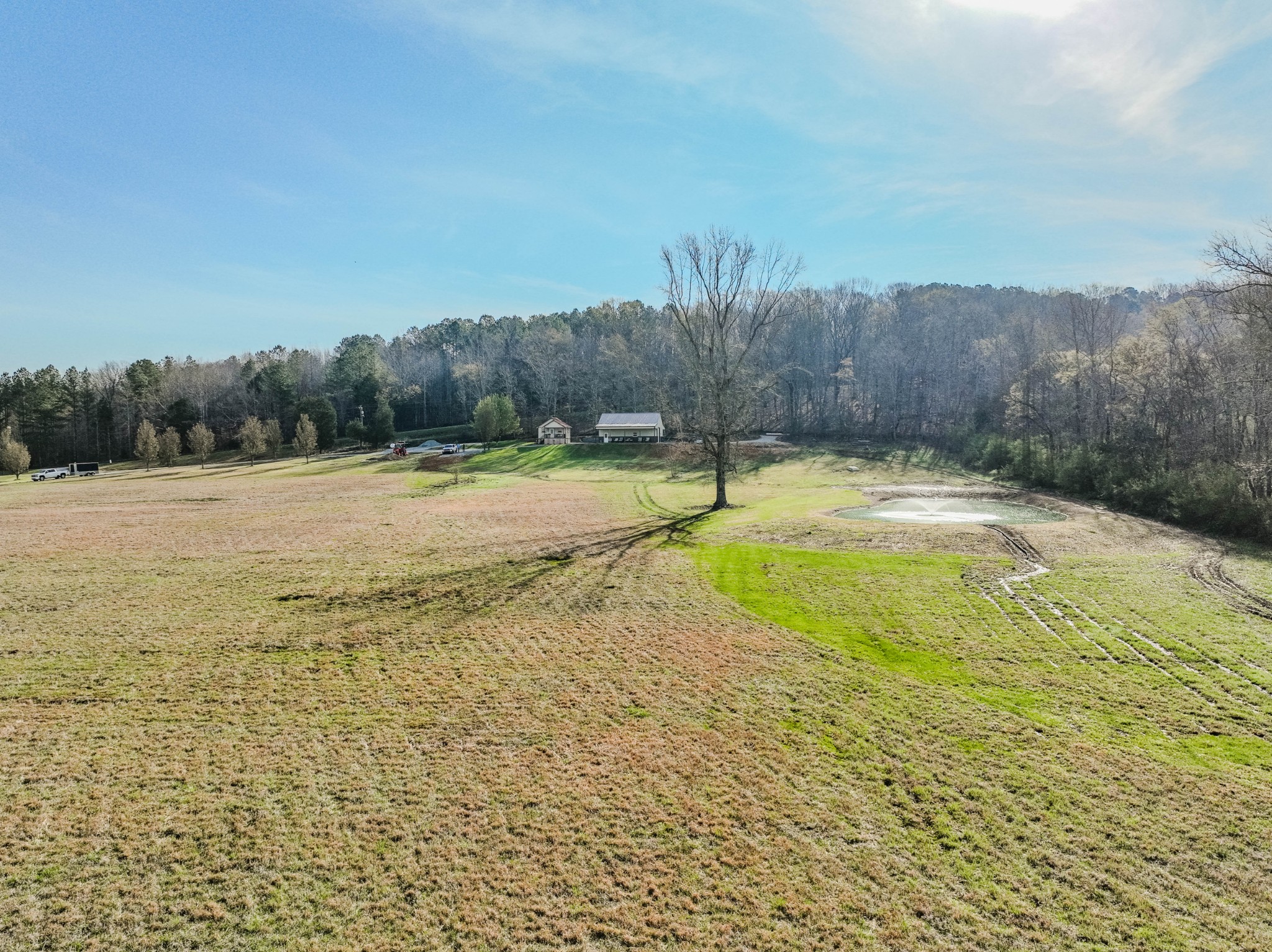 109 Rascal Town Road Loretto, TN 38469 - Photo 11 of 43 a view of a yard with trees