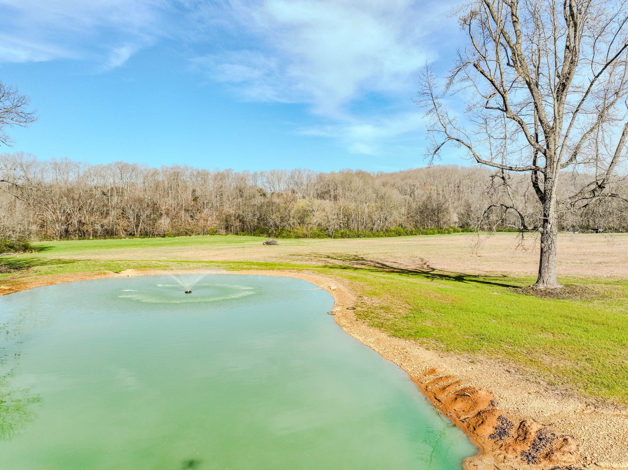 109 Rascal Town Road Loretto, TN 38469 - Photo 12 of 43 a view of a swimming pool and an ocean