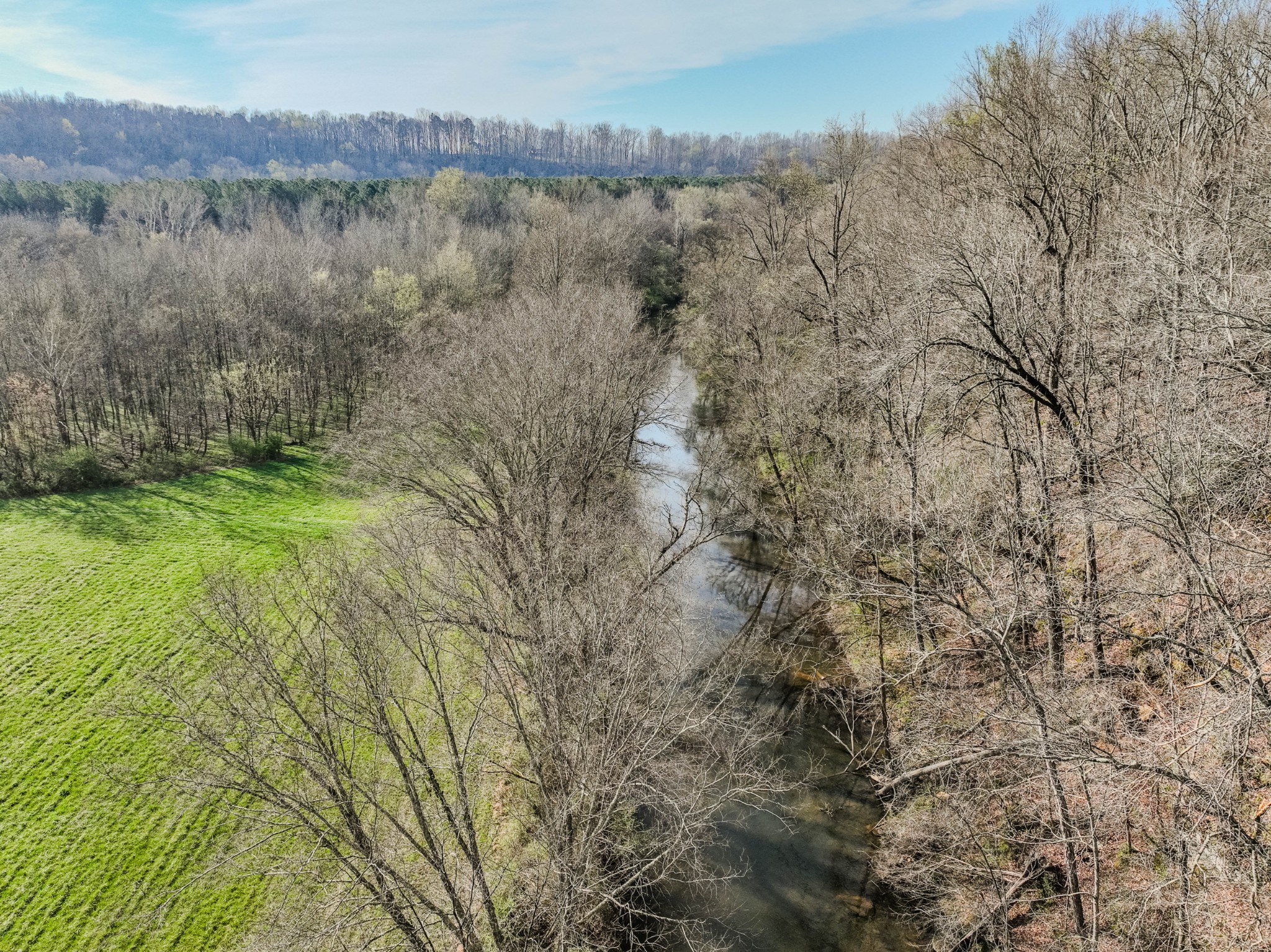 109 Rascal Town Road Loretto, TN 38469 - Photo 10 of 43 a view of a lake with a mountain in the background