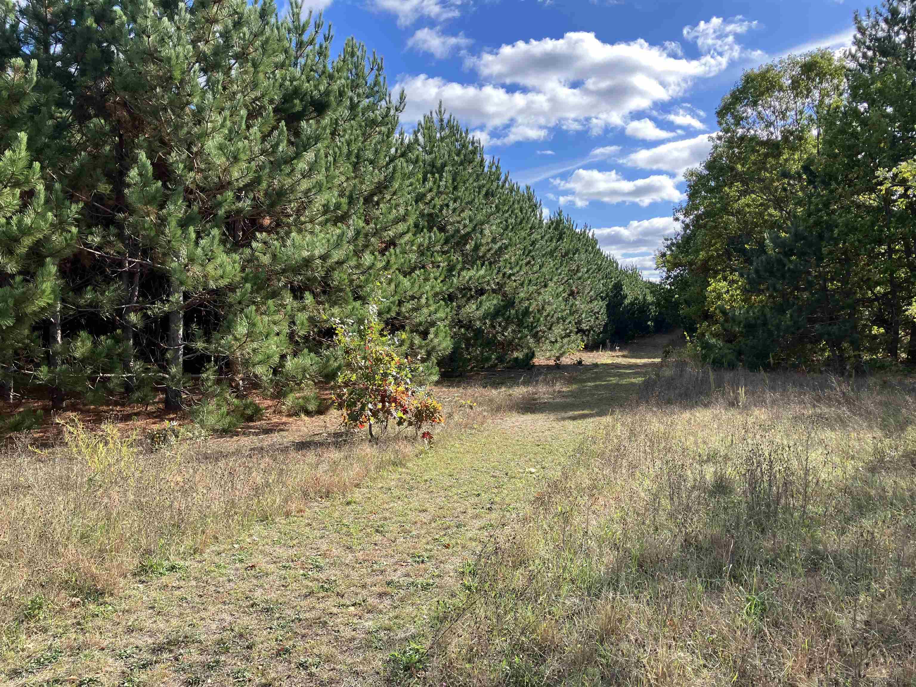 North Beach Street Plainfield, WI 54966 - Photo 3 of 8