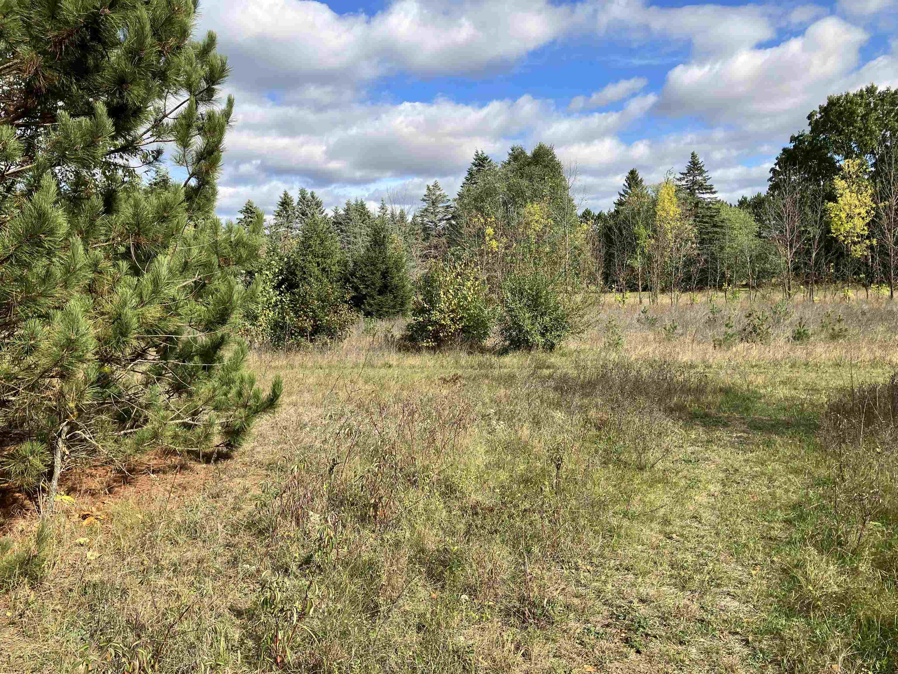 North Beach Street Plainfield, WI 54966 - Photo 4 of 8