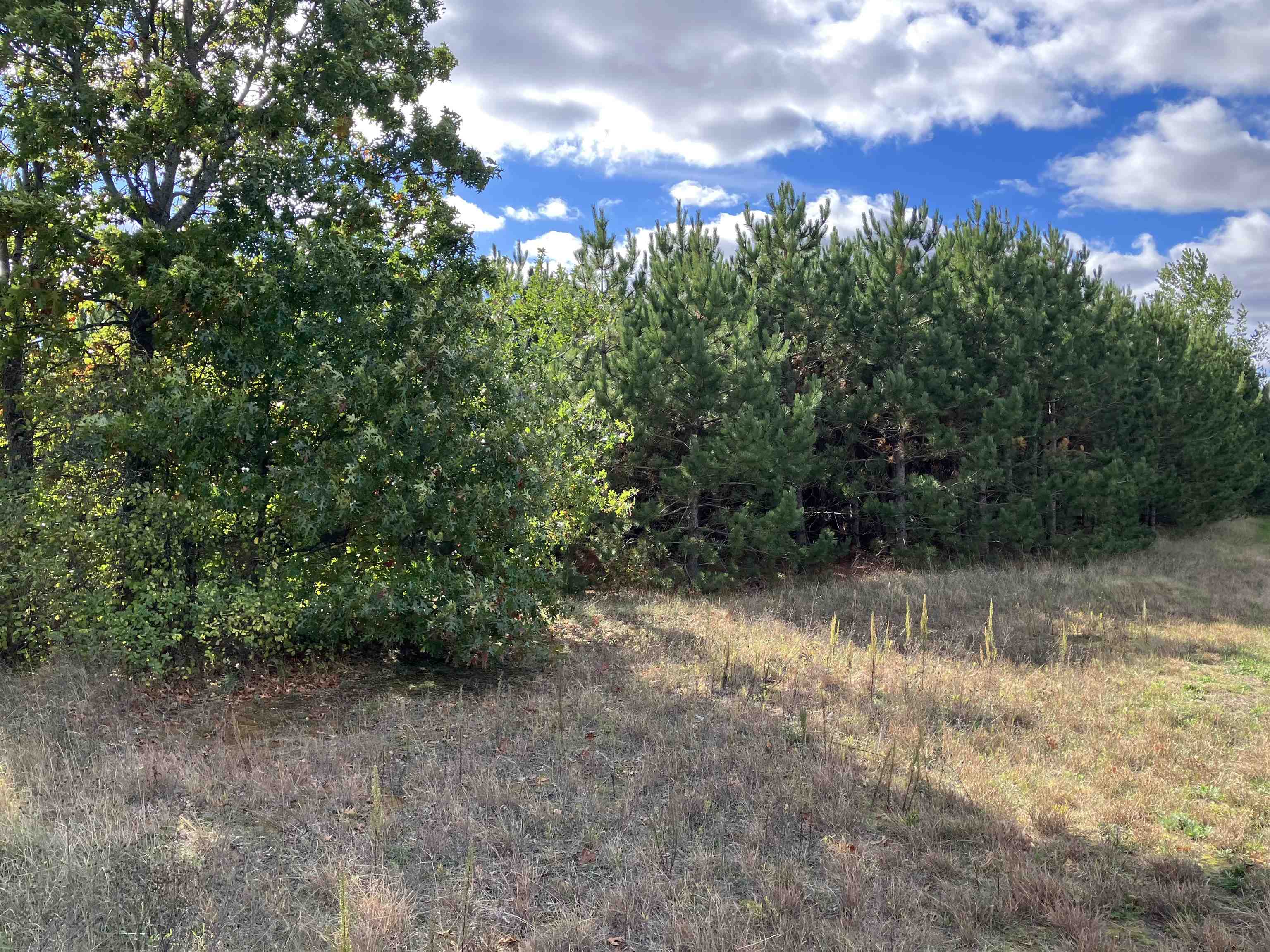 North Beach Street Plainfield, WI 54966 - Photo 5 of 8